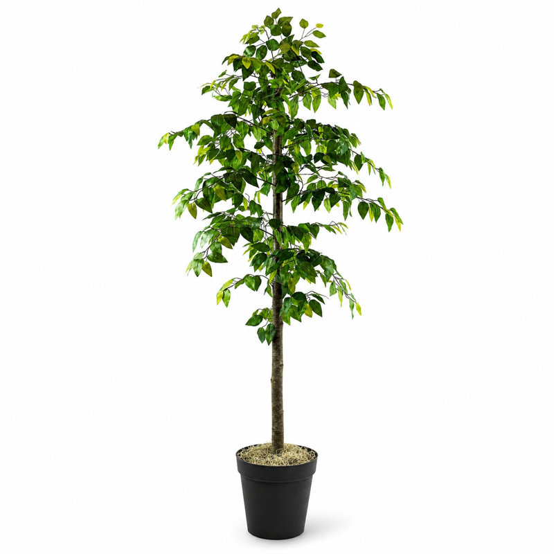 72" Artificial Ficus Tree in Basket