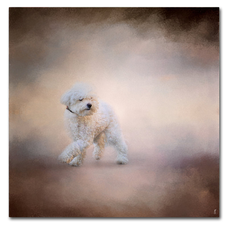 «Bichon on the Go» de Vidur, impression sur toile tendue, H 18 po x l 18 po