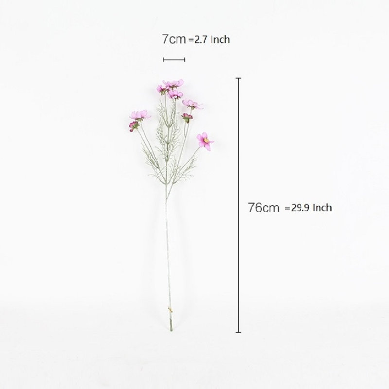 Cosmos Arrangement, Purple/White, 5 Stems