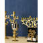 Tree of Life Menorah-93728873
