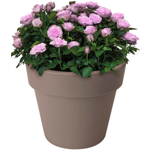 Pot Planter