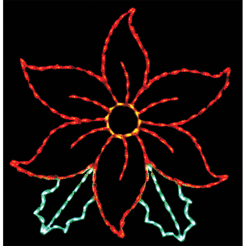 Lumière del poinsetta
