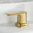 Dean Collection Two-Handle Widespread Short-Veseel Lavatory Bathroom Faucet with Drain Assembly - Brushed Gold-82373802