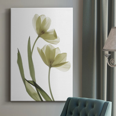 «Xray Tulip I», impression sur toile tendue