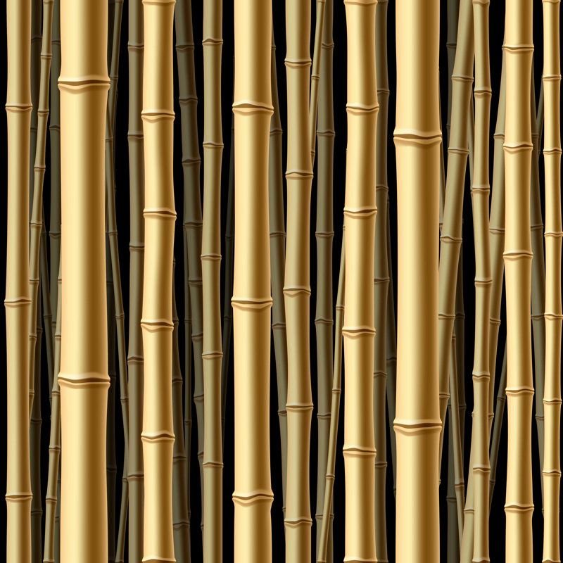 «Transparent Bamboo Forest» par Pialhovik, impression sur toile tendue, L 12 po x H 12 po