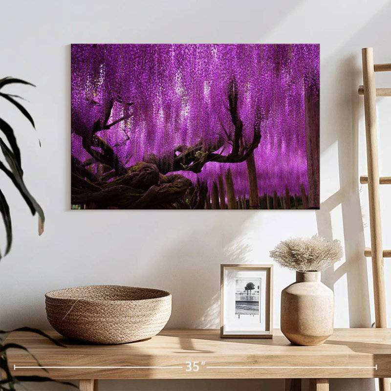 Saule Harnek Wisteria, H 16 po x l 24 po
