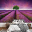Arbre sur un champ de lavande, murale-88770027
