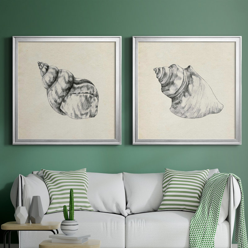 Seashell, dessin au crayon III Seashell, dessin au crayon III - ensemble de 2 reproductions de cadres photo, Pas de tapis