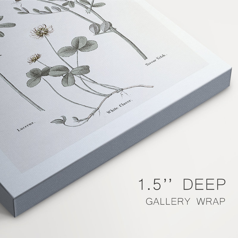 Multi Botanical I-Premium Gallery Wrapped Canvas -Ready to Hang, 36" H x 48" W
