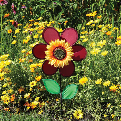 Tournesol 12 po Vicini