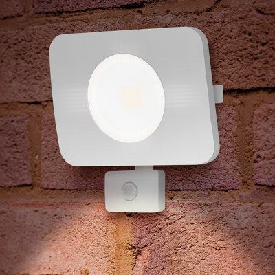 Owsley 1-Light LED Flood Light