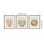 «Baby Animal Portrait», ensemble de 3 reproductions d'art encadrées par The Creative Bunch Studio-1491850443