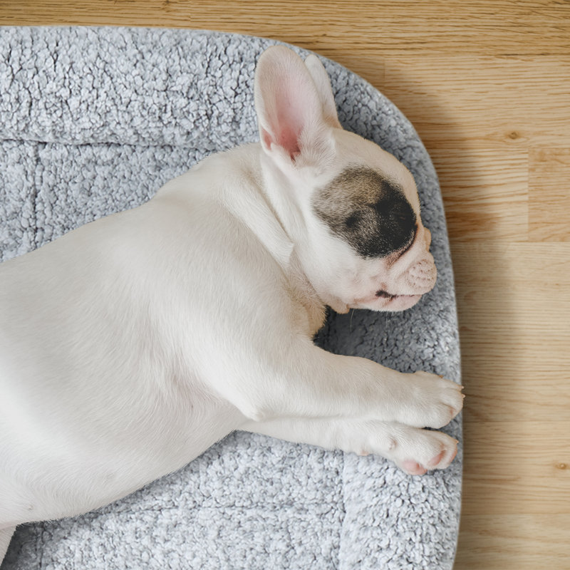 Lit imprimé pour animal de compagnie, Très grand (l 47,5 po x P 29,5 po x H 3,5 po)