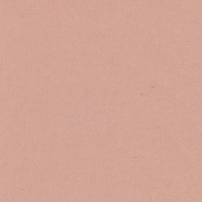 Bellfield Upholstered Headboard, Twin, Classic Blush Performance Velvet