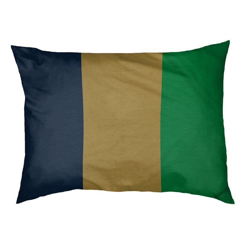 Coussin Golden State, Très grand (l 50 po x P 40 po x H 7 po), Bleu / or / vert