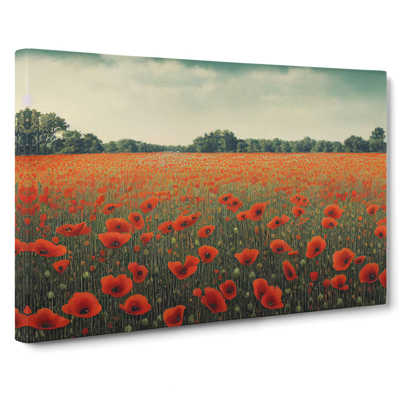 Engaging Poppy Field Flowers - Wrapped Canvas, 40cm H x 60cm W x 3cm D