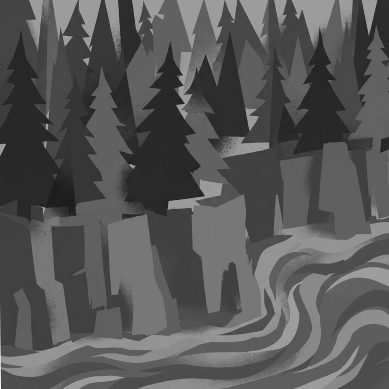 Rideaux de douche Pine River, L 70 po x H 72 po, Gris moyen / noir