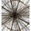 Twigs 10 - Light Chandelier
