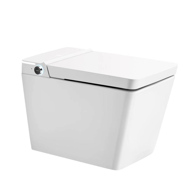 T2505-MG Smart Toilet, Square Seat Toilet with Cleaning Mode & Warm Air Dryer, Matte Black