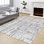 Serre 10 po X 9 pi 10 po Tapis à poils longs-544967708