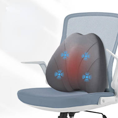 Sleepavo Cooling Gel Seat Cushion for Sciatica, Coccyx, Back, Tailbone &  Lower Back Pain Relief
