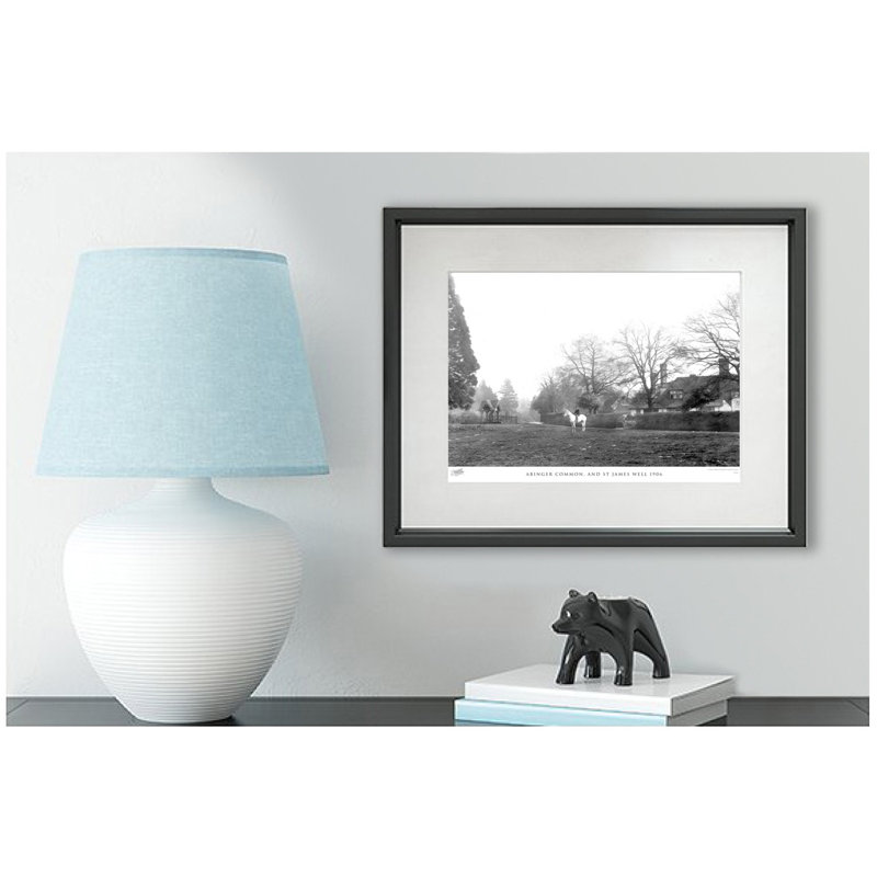 Abinger Common, And St James Well 1906 by Francis Frith - Single Picture Frame Print, 45cm H x 60cm W x 2.3cm D