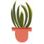 Art sur toile tendue avec art, Delamater, Rob, titre: Mod Cactus IV-103096852