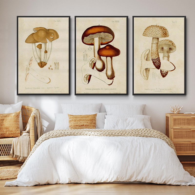 Ensemble de 3 pièces champignon V Variétés encadrées sur toile, H 27 po x l 54 po, Noir