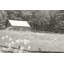 «Summer Farm I BW» par Sue Schlabach - photographie-1706574521-1736873253