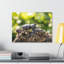 «Beetle Couple Beetle Troop», reproduction d'art mural-1672959526