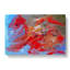 Abstract Art Painting Vol.82 - Wrapped Canvas Painting-55368536