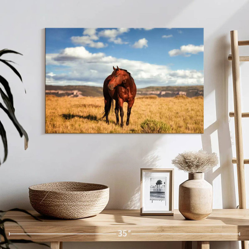 Wild Quarter Horse, H 16 po x l 24 po