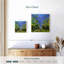 Spring Path-109392136