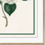 Flora III Giclee Print