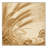 Machine Washable Ottwell Barley French Country Oriental Rug in Beige – Beige Binding-1817566298