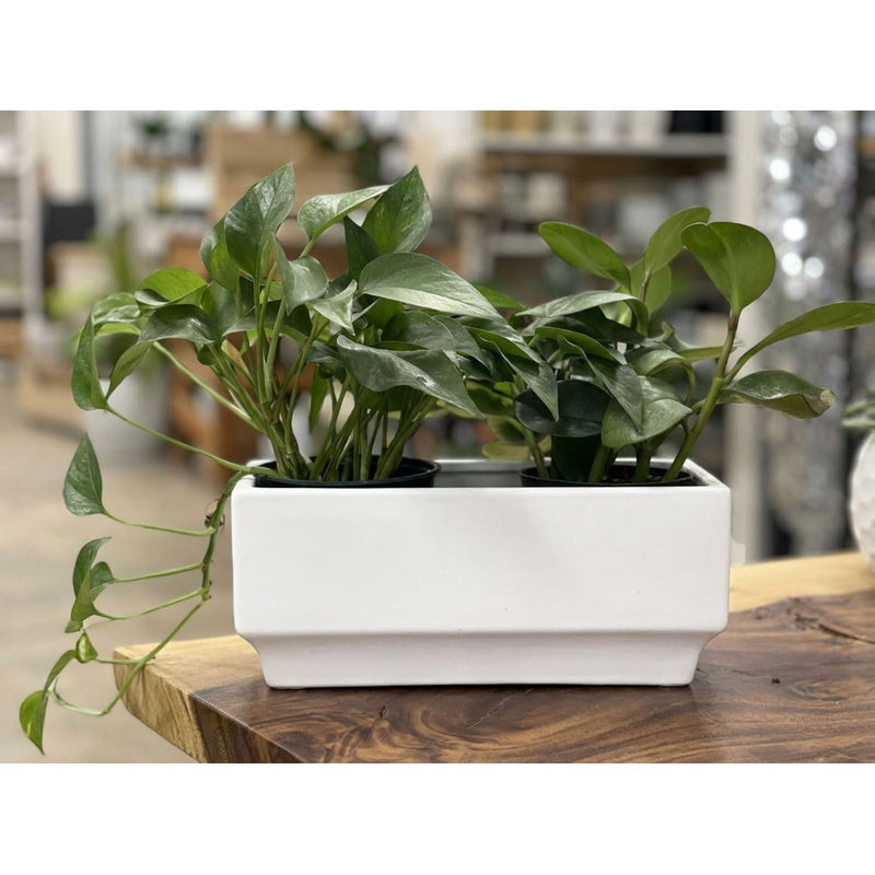 Boîte rectangulaire décorative en béton (paquet de 8) - Intérieur/Extérieur, 3" H x 8" W x 4" D, Set of 8
