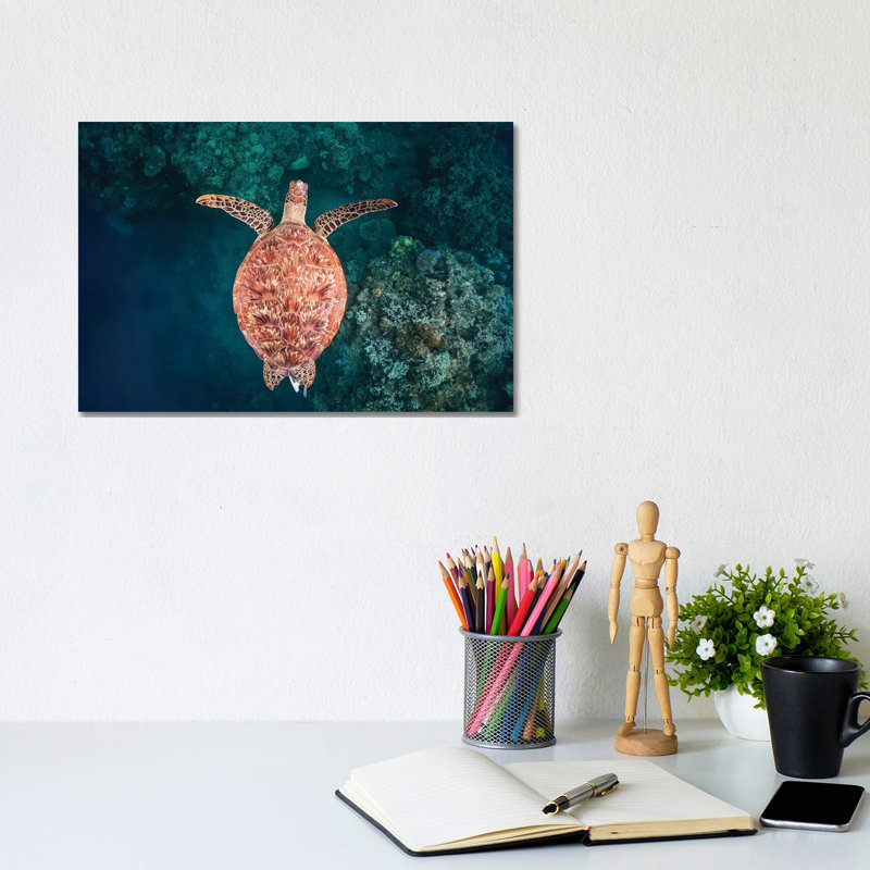 Flying Over The Reef by Barathieu Gabriel - Wrapped Canvas Print, 20.32 cm H x 30.48 cm W