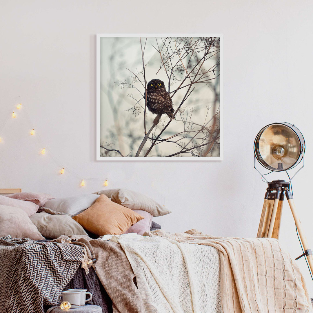 Gerahmtes Poster Owl in Winter