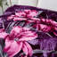 Couverture Jan-S20210814-1832620521