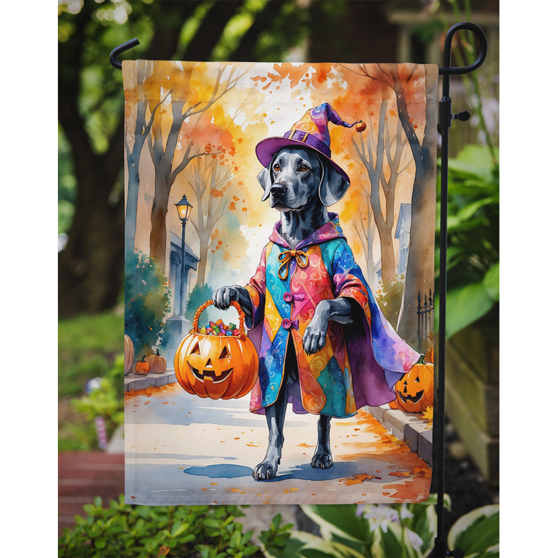 Drapeau du jardin Mastiff, Weimaraner