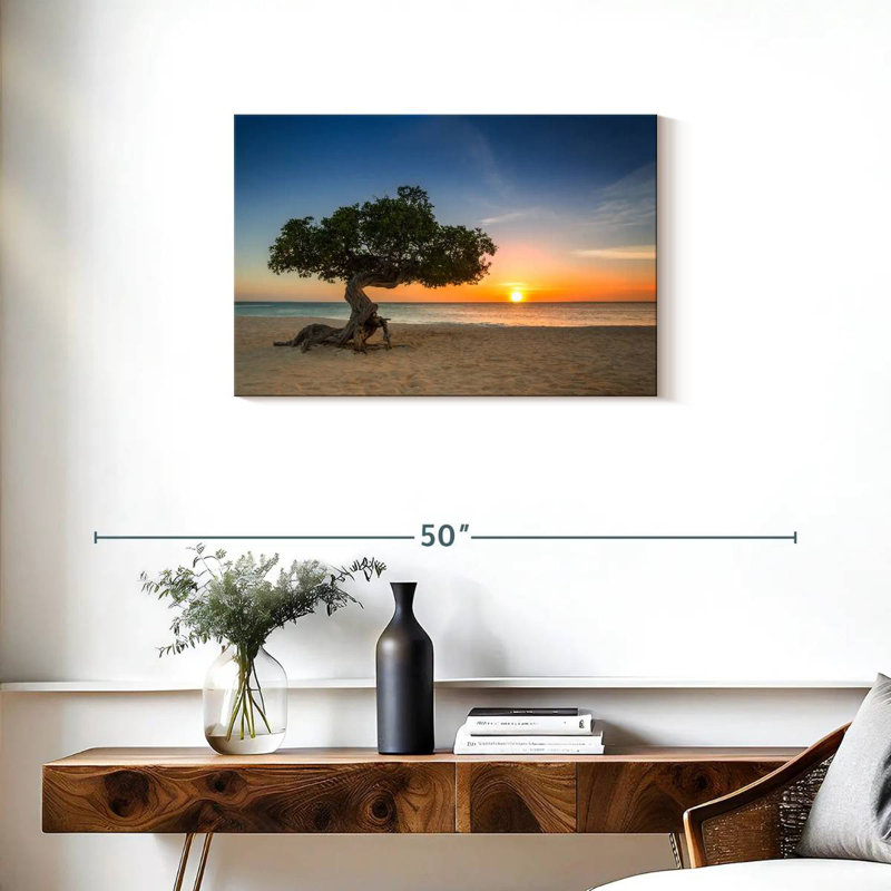 Arbre Gillard Aruba Divi Divi, H 20 po x l 30 po