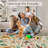 Washable Rugs for Living Room Area Rugs for Bedroom Scalloped Rug Modern Bordered Non Slip Kids Bedroom Carpet Stain Resistant Floor Cover-731131714-731131774