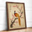 Pheasant and Blossom Japandi - Framed Print-126950120-126950123