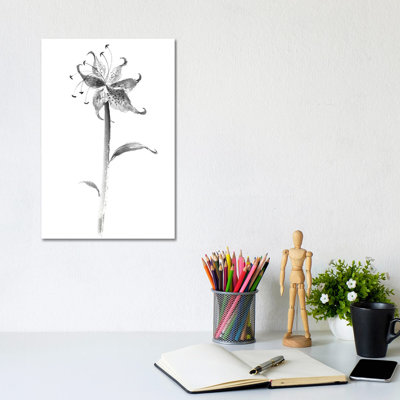 Ink Tiger Lily by Nan Rae - Wrapped Canvas Print