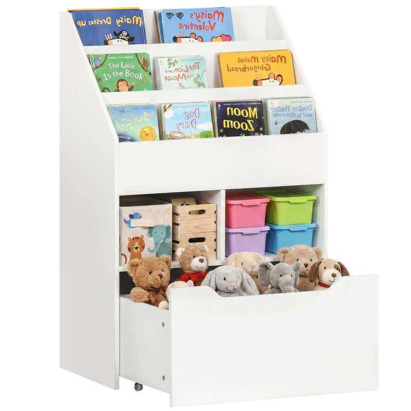 90cm H X 60cm W No Subject Kids Book Display