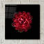 «In Red» par PhotoINC Studio-1098143872