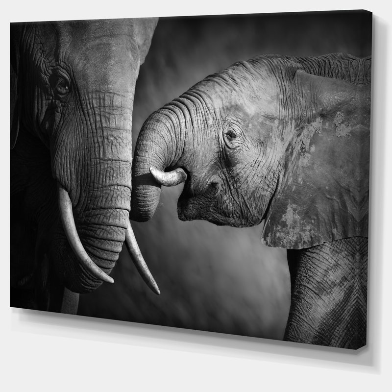 Éléphants montrant l'affection - impression d'art graphique, H 30 po x l 40 po, Toile tendue