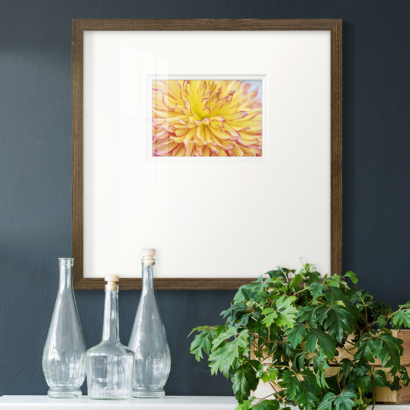 " Blooms III ", 21" H x 21" W x 1.25" D