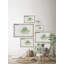«Green Woodlands», reproduction encadrée-86094881