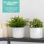 Abelius Pot Planter-1920344967